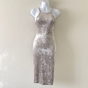 Joe & Elle champagne velvet dress